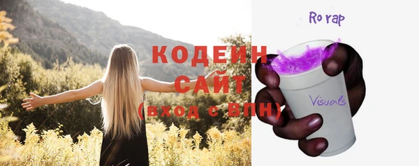 шишки Новозыбков