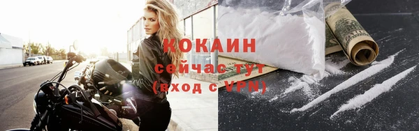 шишки Новозыбков