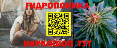 стафф Жуковский