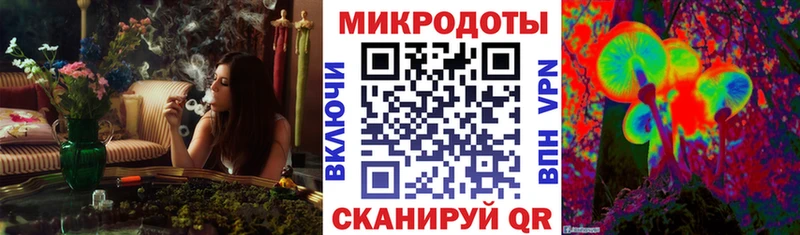 Галлюциногенные грибы GOLDEN TEACHER  shop телеграм  Хабаровск 