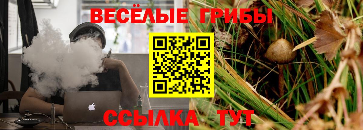 Псилоцибиновые грибы Cubensis Хабаровск